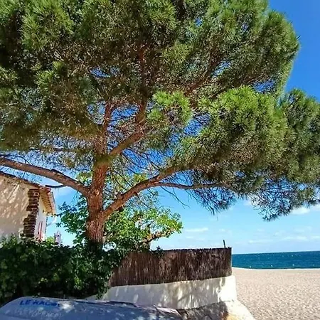 Vila Grande 5 Pieces Avec Jardin Clos Et Terrasse - 300m De La A - Fr-1-776-71 *